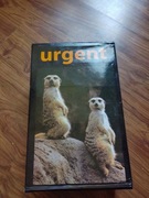 Buty Urgent nie używane 