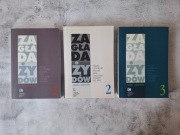 Zagłady Żydów. Studia i materiały (IFiS PAN) Tom 1,2,3