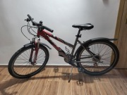 Rower turystyczny KROSS Hexagon V4 dla dziecka lub osoby dorosłej