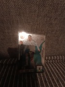 Panini UEFA euro 2012  master mesut ozil