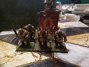 Ogre Bulls x6 2x sztandar