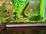 Małe kompletne awkarium z filtrem i grzałką