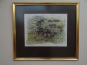 Obraz ,,Bażanty  '' litografia barwna 1977 r