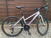 Rower Rock Rider 300