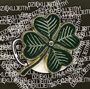 Przypinka Koniczynka - niech się darzy