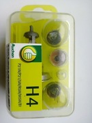 Zestaw żarówek samochodowych H4, P21W,P21,5W,RW5