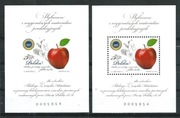 4539 ND A+B Polskie produkty regionalne - jabłko