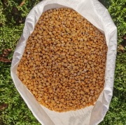 Groch połówki opakowanie 25kg 