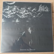 Forest Like A Blaze Above The Ashes LP 1st Press