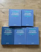 Zestaw Anatomia Człowieka Bochenek Tom 1-5