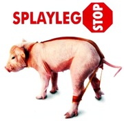 SplaylegSTOP - 20 pasków korekcyjnych