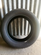 Opona Nokian WR D3 205/55 16