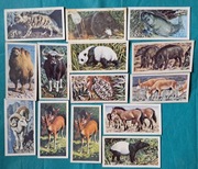 Kolekcjonerskie karty z herbat. Seria: Asian Wild Life  - 14 szt