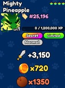 Mighty Pineapple | Pet Catchers