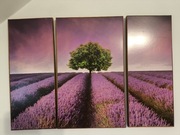 Obraz trzyczęściowy wrzosowisko 