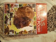 Atlas zwierząt Polskich
