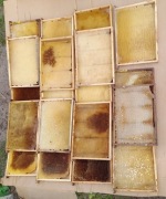 RAMKI WIELKOPOLSKIE , HOFFMANOWSKIE GNIAZDOWE Z SUSZEM ODBUDOWANĄ WĘZĄ .