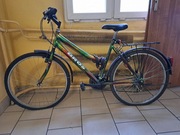 Rower Bros używany.