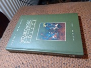 Nowakowski, Wojskowość w średniowiecznej Polsce