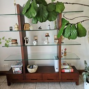 Regał drewniany z półkami szklanymi  174x35x186 cm