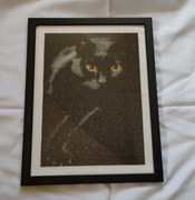 Obraz Kot haft diamentowy 