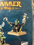 Warhammer - Night Goblin Shaman