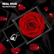 Naszyjnik + wieczna róża Prezent w niezwykłym pudełku