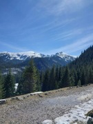 Poszukiwana pani łagodna miła z dużą empatią (praca z zamieszkaniem)