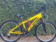 Rower MTB 24 Diamant