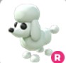 Poodle R - Roblox Adopt Me