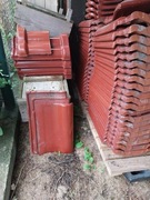 Gąsiory Roben fleming  kasztan