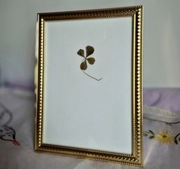 Koniczyna czterolistna ślubny prezent prezent dla nowożeńców 1