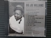 BIG JOE WILLIAMS   Nine string guitar blues 