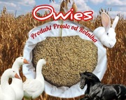 Owies pakowany 20kg 
