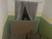 Płyty GK zielone z Castoramy