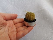 Świeczka kaktus tealight zielona khaki świeczka dekoracyjna