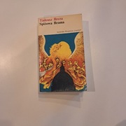 Tadeusz Breza "Spiżowa Brama" – wydanie Czytelnik –  bardzo dobry stan!