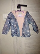 Kurteczka wiatrówka 