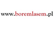 boremlasem.pl domena www podróże las survival 