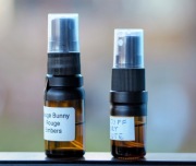 Rogue Bunny Rouge Embers oraz Xerjoff Ivory Route