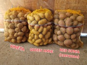 ziemniaki jadalne Vineta, Queen Anne, Red Sonia