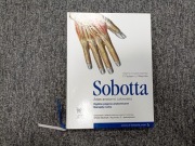 Atlas anatomii człowieka - Ogólne pojęcia anatomiczne - Narządy - Sobotta 