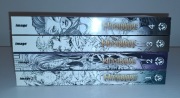Witchblade Complete Collection 1-4 + Witchblade/Tomb Raider. Zestaw