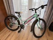 Rower Dziecięcy CTM MONY 24″ turkus / różowy