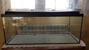 Akwarium 160 l