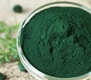 Spirulina algi mikro pokarm akwarium gupiki rybki krewetki 500g