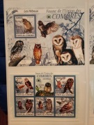 Komory 2009 Mi 2412-6  + bl 526  ptaki sowa  CIĘTY zestaw idealny