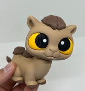 Pustynny urok w zasięgu ręki!