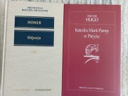 2 KSIĄŻKI:ODYSEJA-HOMER,KATEDRA MARII PANNY W PARYŻU-WIKTOR HUGO