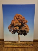 Fotografia na płótnie, DRZEWO NA WARMII, 50X70